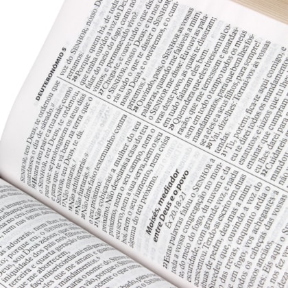 image_47e5f56b-3096-425c-8e22-ff375e9d2a4f