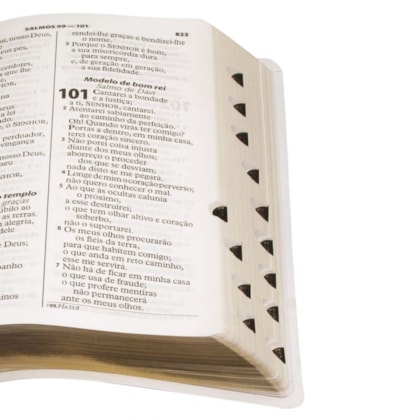 image_3c37ef99-6bd7-490e-87bd-f7143e2edd06