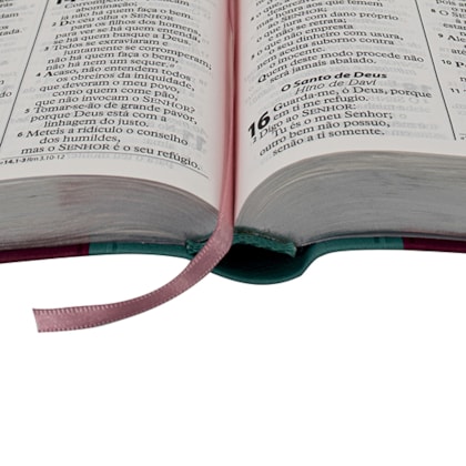 image_ff991227-1ded-4609-bca9-66b04a06da1d