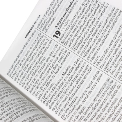 image_aca2b5cb-86de-464a-bbb9-1b08f8c88ad2