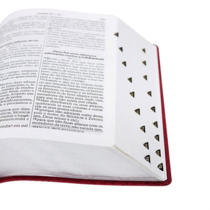 image_77c2ec2e-efd1-4d31-a2af-b581bc87f845