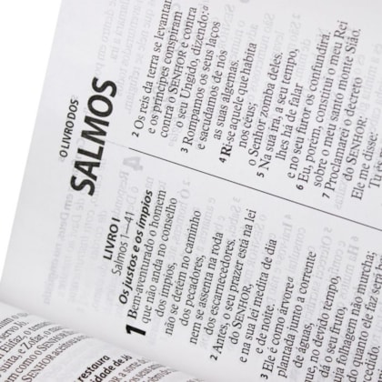 image_274b0af5-9040-46bf-9063-9a1982cedbbf