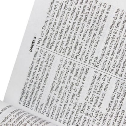 image_19f729dc-a5cd-4625-b6a5-973a7cb3fc80