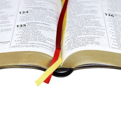 image_02ec5d6b-0d36-446e-bef7-33c613d089c4