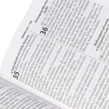 image_cba60787-2600-4802-87fe-c4eedd68ecef