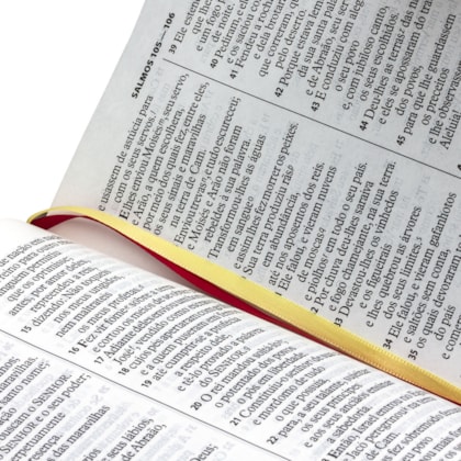 image_5d013c75-cc8f-4d65-9323-13885fb58064