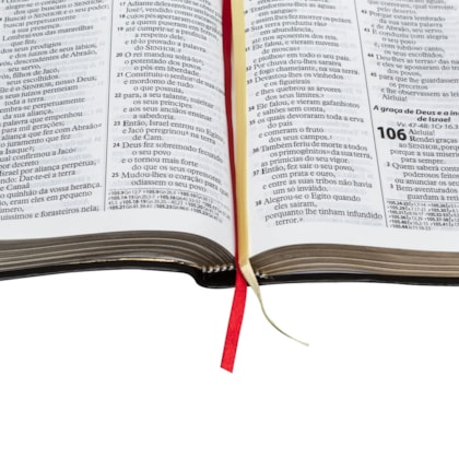 image_8cc8ccac-a340-4620-98c3-e5457a241bc7