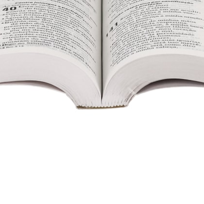 image_e2a36f8e-db62-4068-8dea-4b1e105a9cee