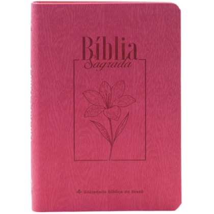 image_386d336e-4733-4189-9e6e-cf30eb250a07