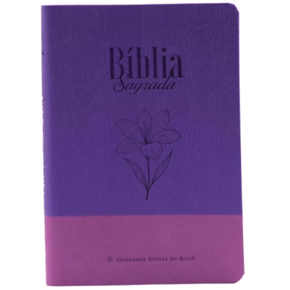 image_49580bab-9f56-4300-9454-e7c10767edf7