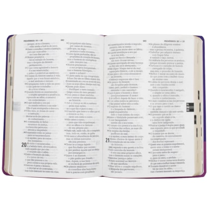 image_b3e82078-f240-4a9a-a319-c4dc413f5628