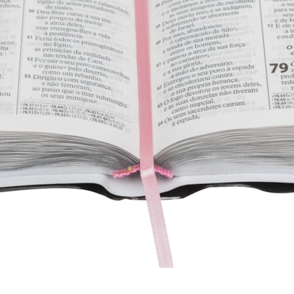 image_3acd8f58-9248-4955-8512-d658d4da087c