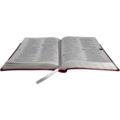 image_bec21a8c-9aaa-4c96-9578-cf6f78c16810