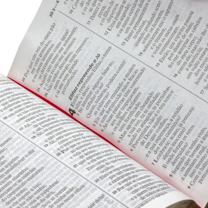 image_c11466ae-eeb5-4c36-8cc2-2bfe8e29c35d