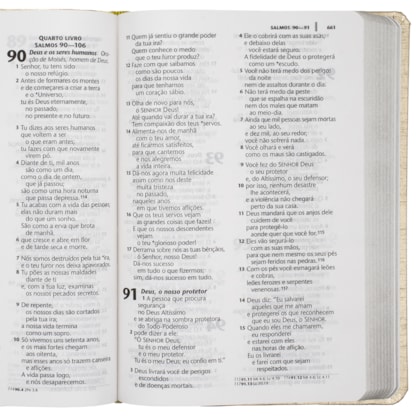 image_5361c796-6686-47f6-b179-b54d805b9d79