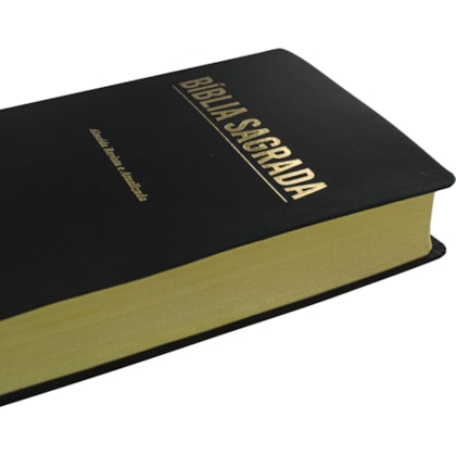 image_46729a88-8b49-4099-9e4c-e0d946625396