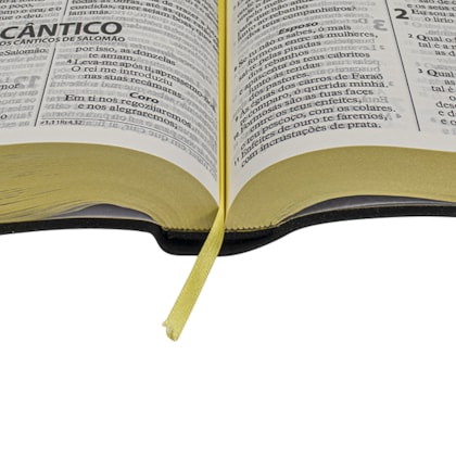 image_5b699c00-bcc1-403d-ac07-7f29897b363a