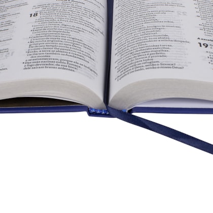 image_d52a80a0-301a-4c4a-ad77-b7e0749591ef