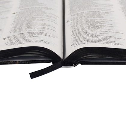 image_7aeacd8a-56f5-40cc-bd64-5a6729bc78c9