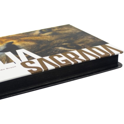 image_e6b575f7-5189-459d-bab0-a92ab444298c