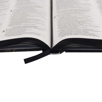 image_2af09a41-803b-4239-a30b-54d5a863159b