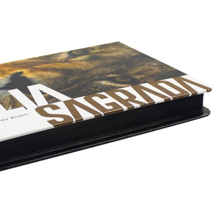 image_9f2b7bbf-4add-4a0f-8256-5597bc072c95