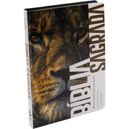 image_fb6d8116-a927-4375-a714-1846e3828cc3