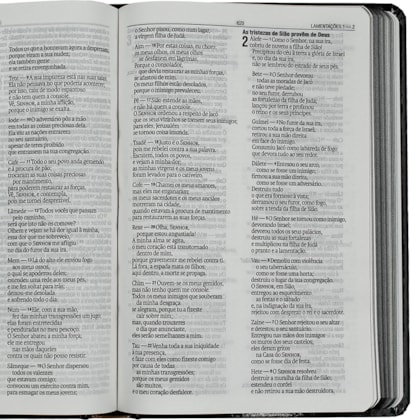 image_132f9689-2c60-4397-8bef-b344fa5c18ba