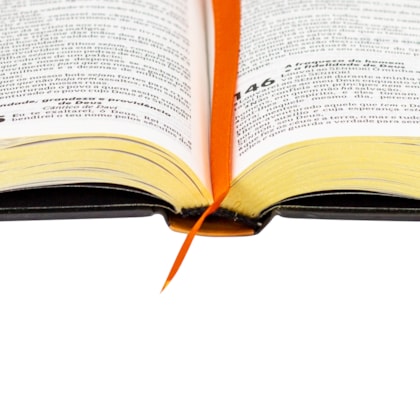 image_6fb908f7-7e76-4520-8dc0-49b33f23f698