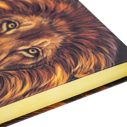 image_b04494ec-9976-4df4-b14b-1da97f0be0b8