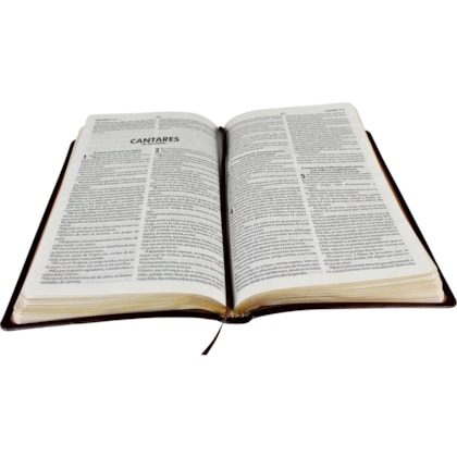 image_baab28e2-e118-42a2-a039-bd5a5db17422