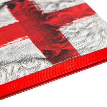 image_923ef090-e05f-41f2-8bd7-a53cfc19c9fd