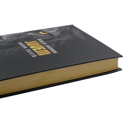 image_2d2309ca-a552-47d2-97a7-2b37c2ffd6ee