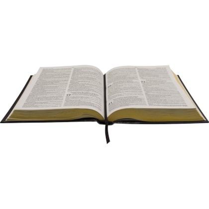 image_aac832aa-a837-4be1-946b-686c6ce3a721