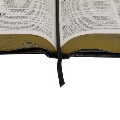 image_03b31e16-91de-4ee8-a2a2-6a6d0b49d6f3