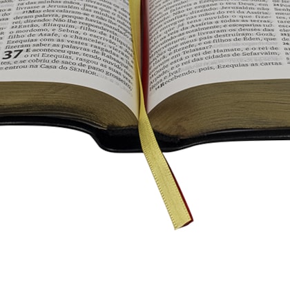 image_433be7da-9c11-431a-8fdd-204caaf99a6a