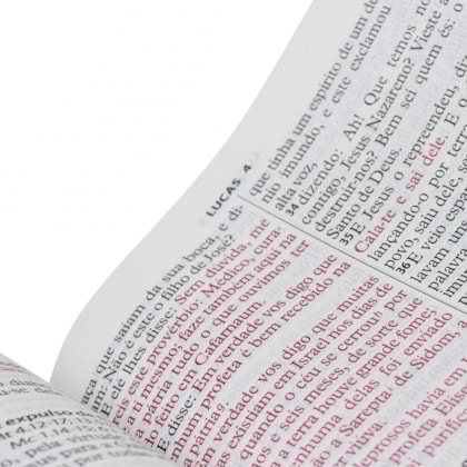 image_8f71c377-456b-46db-aa7b-bbcd2f93e927