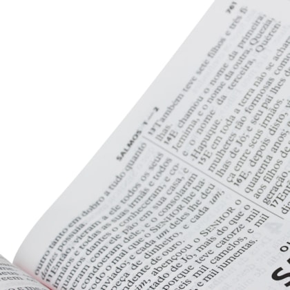 image_8e15df62-4e6a-4f52-af96-b2bd220841e5