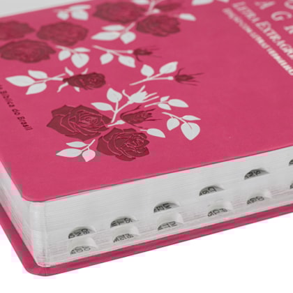 image_3f8a3d57-eea1-45b1-b356-e469e066df91