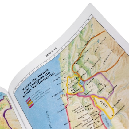 image_dafb43e1-e8b7-4612-be7e-7f01f47d18fd