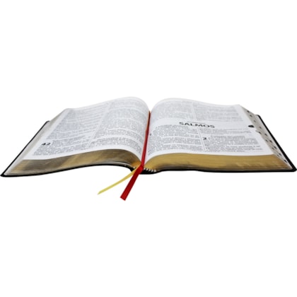image_cab264f0-abb1-46b6-b7cf-2e8c8bd60741
