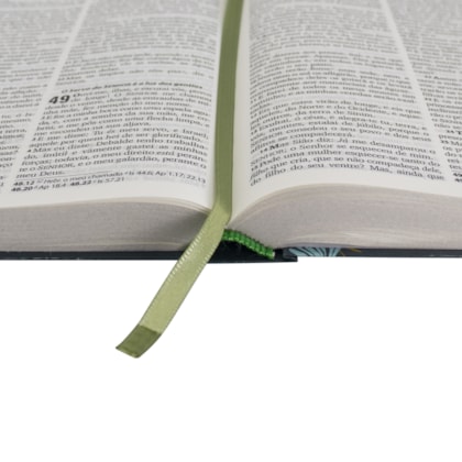 image_f817a828-bf5e-4be0-acc2-1194c745e251