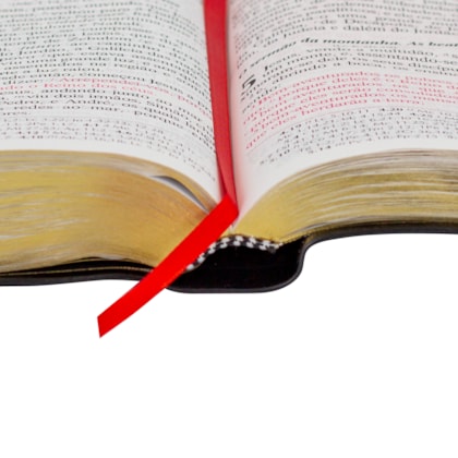 image_ed47dc88-e330-4996-bd41-e0ac25536660