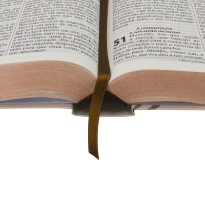 image_f2ae9843-9103-48c5-a321-5760b4827331