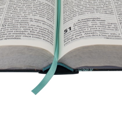 image_851a56ef-c958-4058-a988-108df2e29240