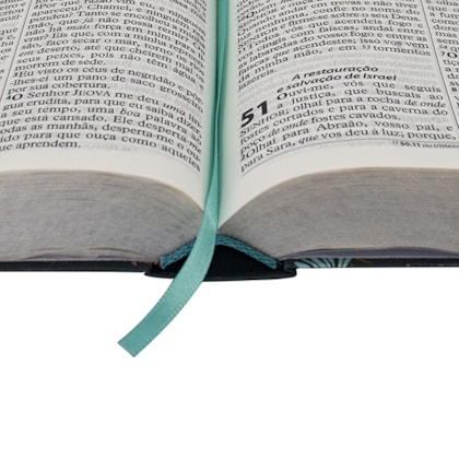 image_4126ee05-7084-4a2b-897f-121f56a6898a