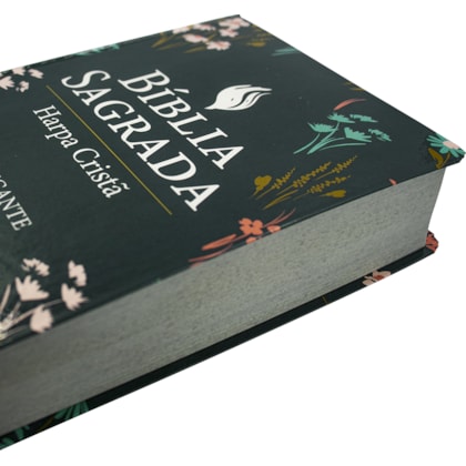 image_7460d8af-9ef1-4420-9cdd-bfef9ee8df55