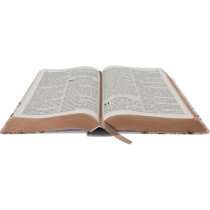 image_6901a818-96aa-434d-acdc-8526ead21ae8