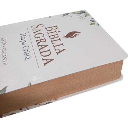 image_c254e1fe-b550-4bd5-89fa-222aaa509dac