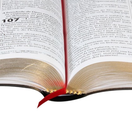 image_e3d88309-a75c-45f5-b6ff-5a2ce7eb3582